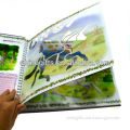 Hollowed-out hardcover full color book printing